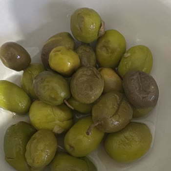 Fatma’nın Bahçesi’nden Çürük Zeytin Ve Geri Ödeme Talebi