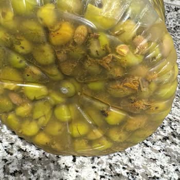 Fatma’nın Bahçesi’nden Çürük Zeytin Ve Geri Ödeme Talebi