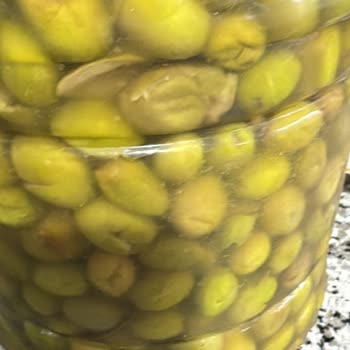 Fatma’nın Bahçesi’nden Çürük Zeytin Ve Geri Ödeme Talebi