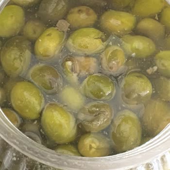 Fatma’nın Bahçesi’nden Çürük Zeytin Ve Geri Ödeme Talebi