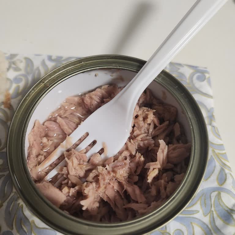 Şok Market'ten Alınan Dardanel Ton Ürününün Acı Tat Sorunu