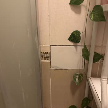 Çizgi Dekorasyon (İstanbul)