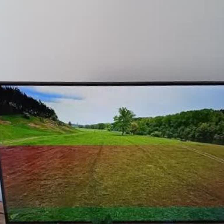 Kurulum Yapılmış Gibi Gösterilen TV'de Görüntü Dalgalanması, Değişim Talebi