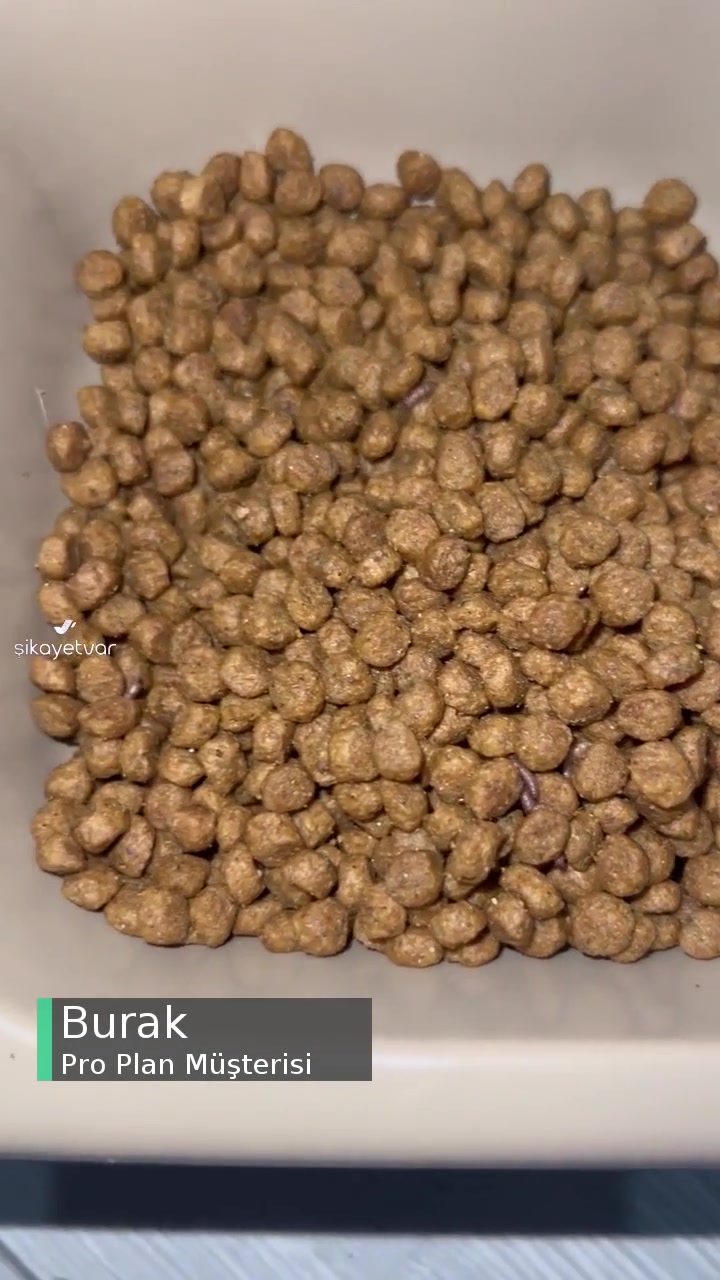 Pro Plan Mama Kurtlanmış videonun kapak resmi