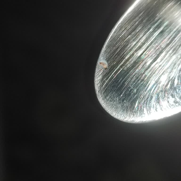 Kelly's Corn Flakes'te Kurtçuk Benzeri Madde Bulundu, Sağlık Endişesi Ve Güven Kaybı