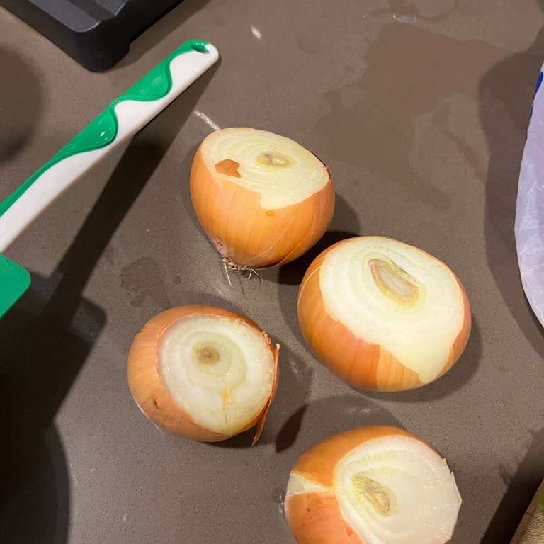 Organik Soğanda Çürüme Sorunu Ve Güven Kaybı