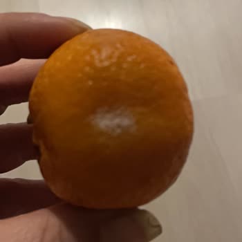 Bozulmuş Meyveler İçin İade Reddi Ve Yanıltıcı Kupon Teklifi