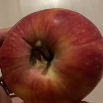 Bozulmuş Meyveler İçin İade Reddi Ve Yanıltıcı Kupon Teklifi