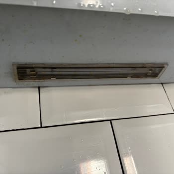 Kurt Temizlik | Mersin Memnun Kalmadım