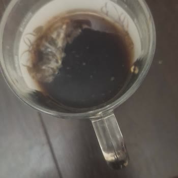 Şok Market Alınan Cola’da Yabancı Canlı Keşfedildi