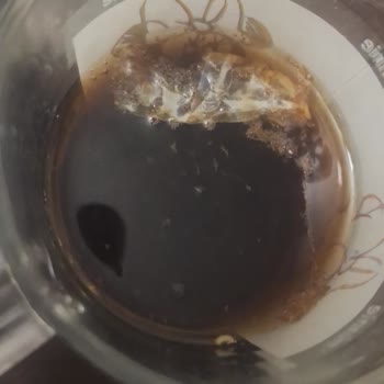 Şok Market Alınan Cola’da Yabancı Canlı Keşfedildi