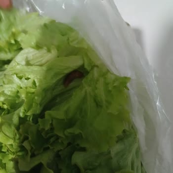 Kıvırcıkta Sümüklü Böcek Ve Bebek Püresinde Bozulma, Güvenim Sarsıldı