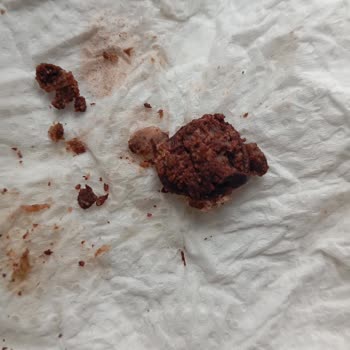 Dana Kavurmasında Tavuk Ciğeri Bulunması Ürün Güvenliği Sorunu