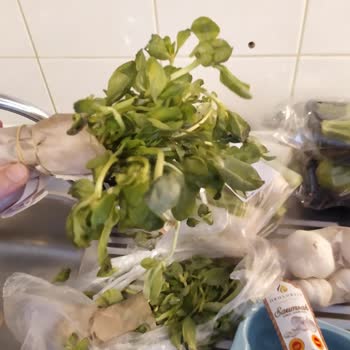 Getir Siparişte Çürük Ve Küflü Ürünler, İade Görsel Yüklemede Hata Ve Müşteri Hizmetine Ulaşılamıyor