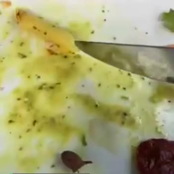 Tavuk Dünyası Pendik İlgilenmiyor, Yemeği Kötü Yapıyor