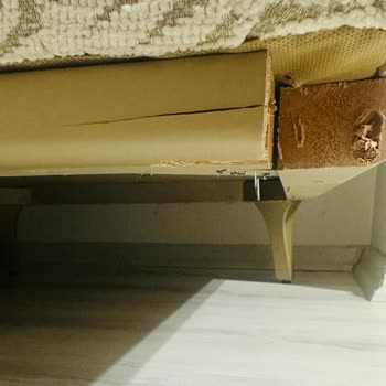 Vivense'de Kırık Berjer Ayakları, Cevapsız Destek Ve Acil Onarım Talebi