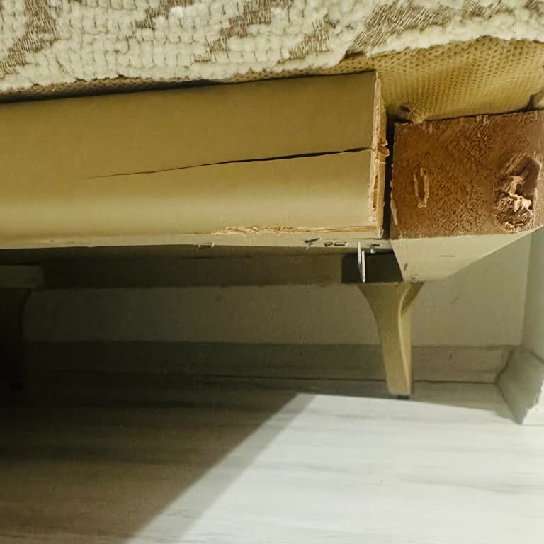 Vivense'de Kırık Berjer Ayakları, Cevapsız Destek Ve Acil Onarım Talebi