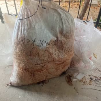 Kaybolan Çeyizlik Eşyalarım Ve Hasarlı Kargolar İçin Sürat Kargo’ya Şikayet