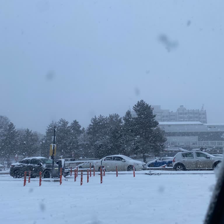 Atatürk Üniversitesi Hastanesi Otoparkta Otomatik Kapı Arızalandığı İçin Mahsur Kaldık!