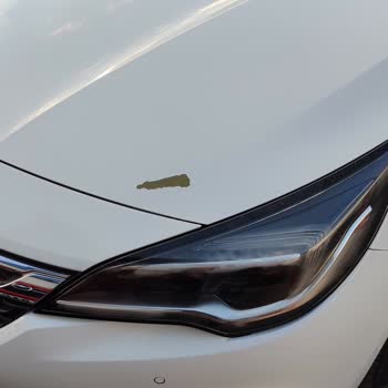 Kaput Boyası Çöktü, Opel’dan Acil Telafi Talebi