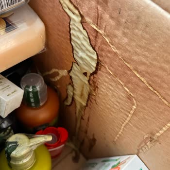 Kargodaki Sıvı Ürünlerin Sızıntısı Ve İç Paketleme Sorunu