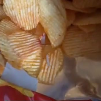 Ketçaplı Ruffles İçinden Kurt Çıktı