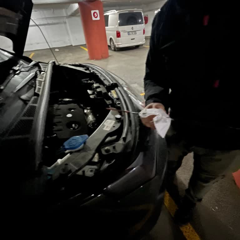 Servis Gecikmesi, Şanzıman Kontrolü İhmali Ve Aşırı Yağ Doldurulması