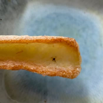 Dondurulmuş Patates Ürününde Örümcek Tespiti Ve Sağlık Endişesi