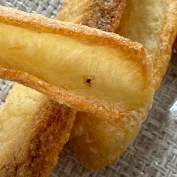 Dondurulmuş Patates Ürününde Örümcek Tespiti Ve Sağlık Endişesi