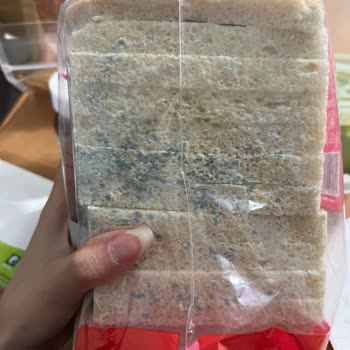 Yemeksepeti Market Mantarlı Bozuk Tost Ekmeği