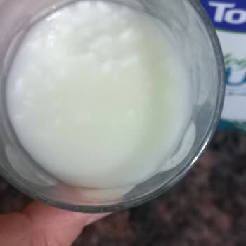 Bozulmuş Süt Sağlık Riski Ve Telafi Talebi