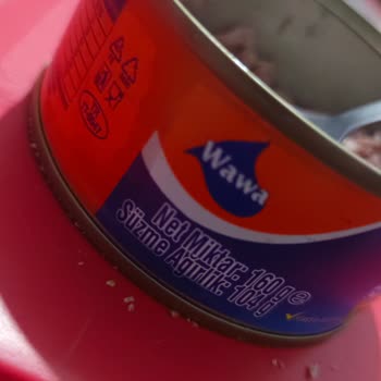 İçinde İnsan Saçı Olan Konserve Ton Balığı İçin İade Talebi