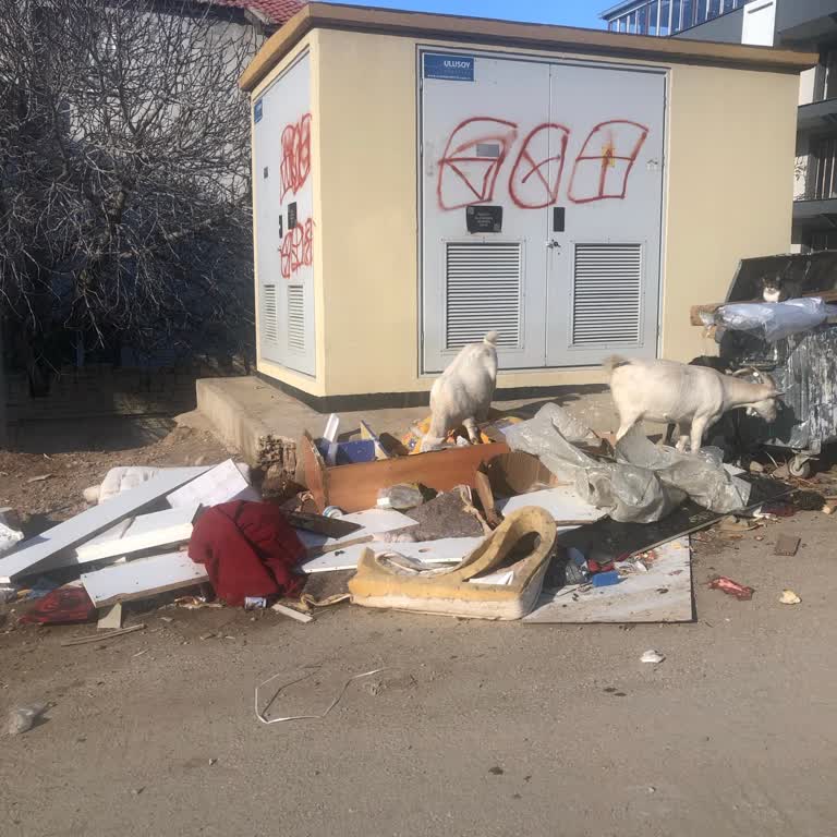 Menemen Belediyesi 1321 Sokakta Çöp Konteynerleri Yetersiz Ve Kötü Koku Şikayeti