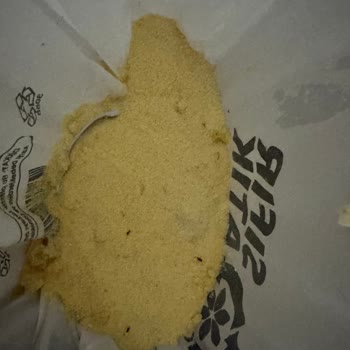 İrmik İçinde Kurt Görülmesi Sağlık Endişesi Yaratıyor