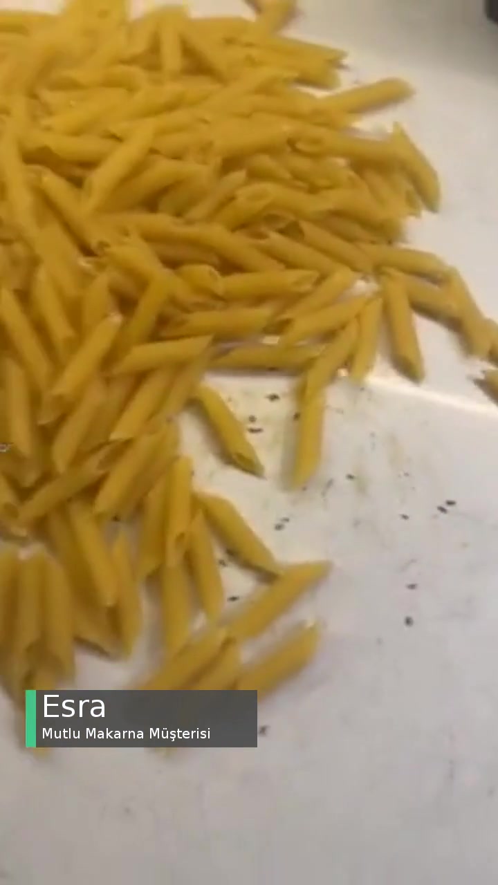 Mutlu Makarnada Böceklenme! videonun kapak resmi