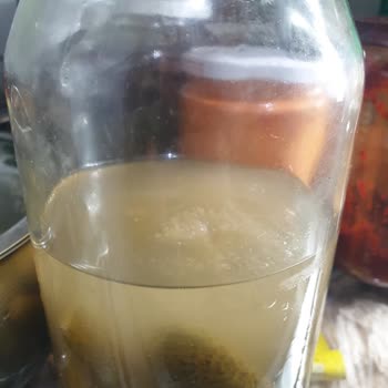 Bosch Buzdolabının Dondurma Sorunu Ve Servis Gecikmesi Nedeniyle Ürün Değişimi Talebi