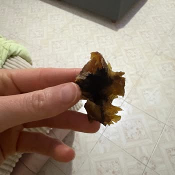 Musko Erciyes Bayat Kuruyemiş Satışı