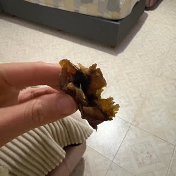 Musko Erciyes Bayat Kuruyemiş Satışı