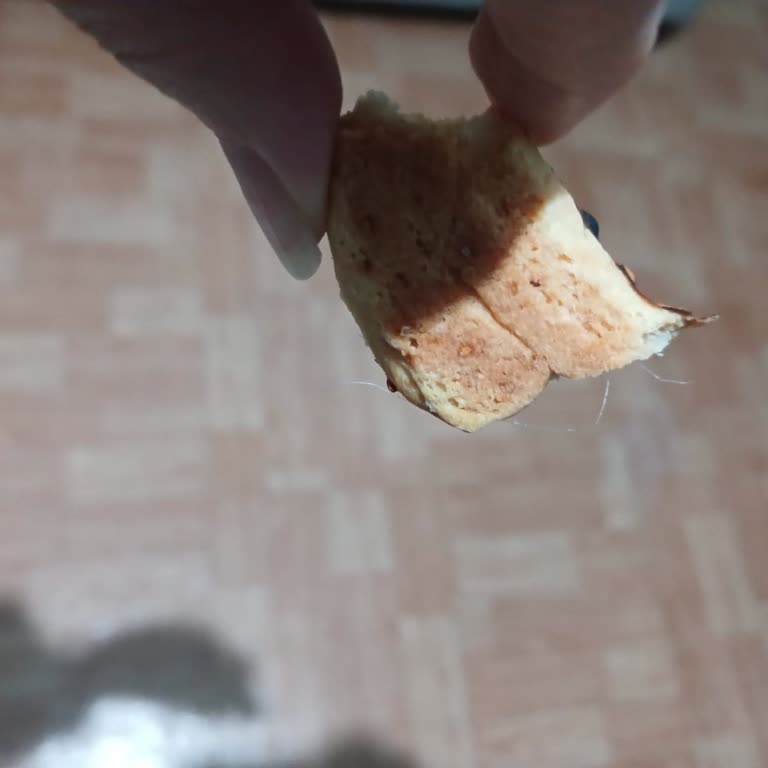 Kazanoğulları Pastanesinde Kıl Bulunması Hijyen İhlali