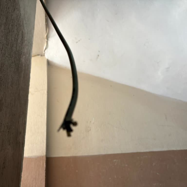 Kablo Kopması Nedeniyle 20 Gün Süren İnternet Kesintisi Ve Destek Yokluğu