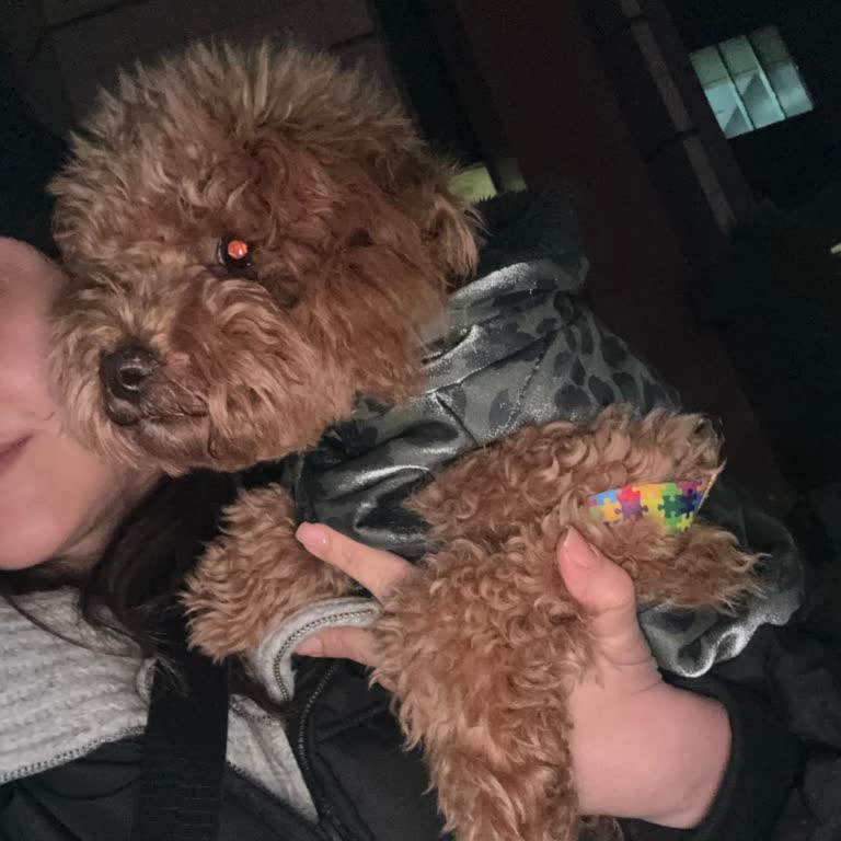 Mall Of İstanbul Güvenlik Görevlisinin Kurallara Aykırı Tutumu!