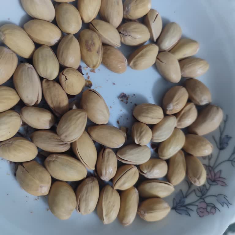 Amigo Siirt Fıstığında Kapalı Ve Aşırı Sert Kabuklar