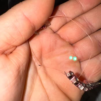 Gözüm Optik Şubesinde Hatalı Cam Ve Alaycı Tutum