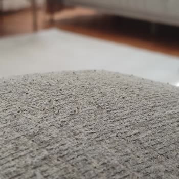 Bellona Havana Oturma Grubu Kumaş Tüylenmesi Garanti İstemi