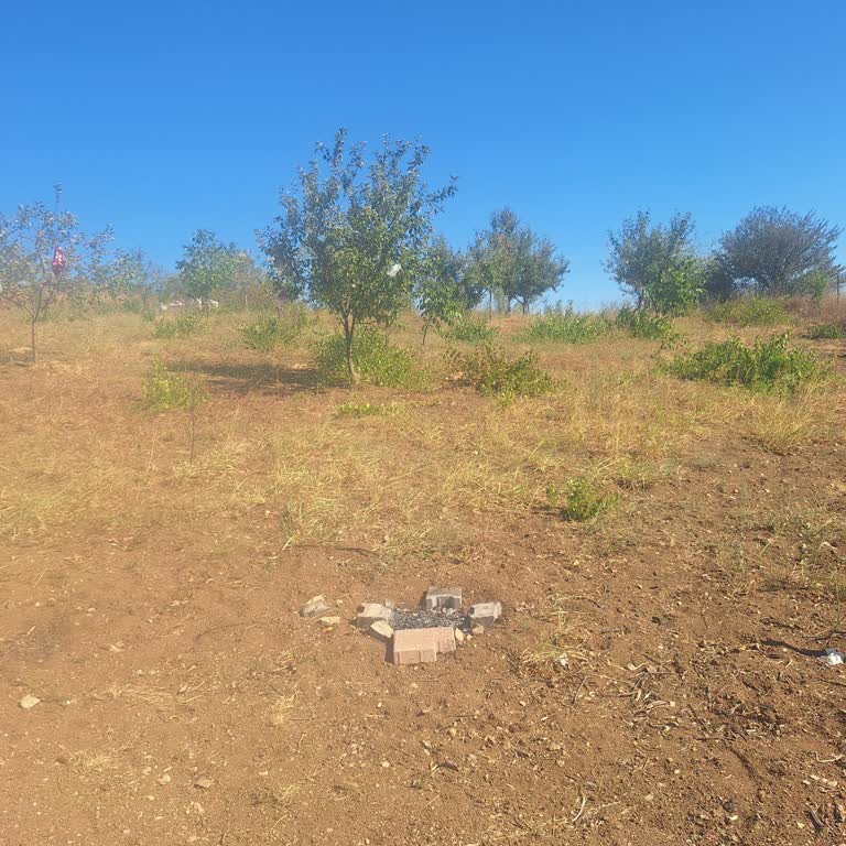 Binance Global'te 20 Kat Kaldıraçla 1% Düşüşte Haksız Likidasyon Ve Bakiye İadesi Talebi