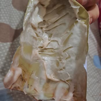 Saç Boyasında Kıl Bulunması: Hijyen İhlali Ve İade Talebi