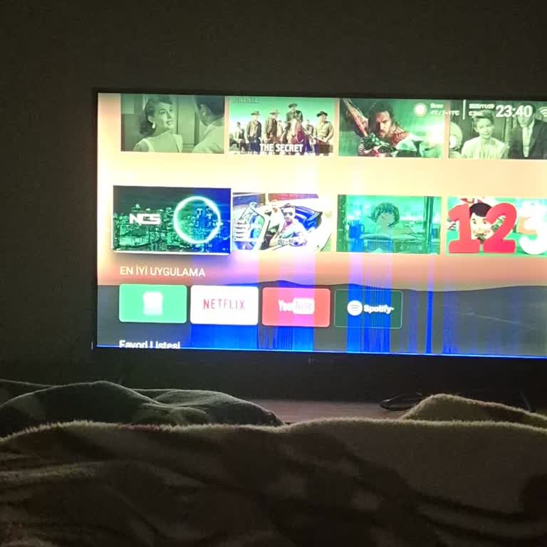 Garanti Kapsamındaki TV’de Ana Kart Arızası Ve Uzun Süreli Çözüm Bekleyişi