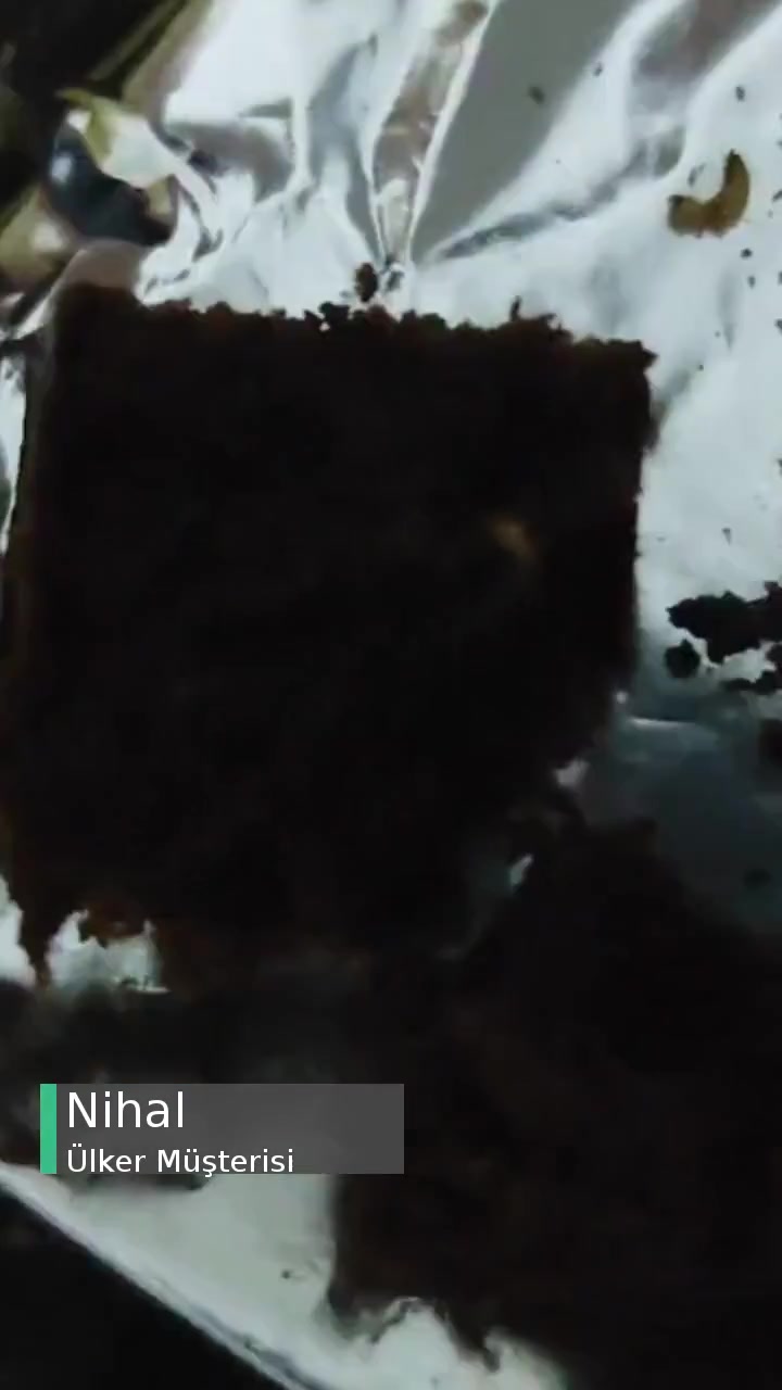 Ülker Dankek Pöti Kekinde Solucanlar Çıktı! videonun kapak resmi