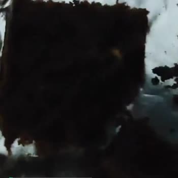 Ülker Dankek Pöti Kekinde Solucanlar Çıktı!