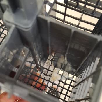 Arçelik Bulaşık Makinesinde Boya Sorunu, Deterjan Lekesi Ve Haksız Servis Ücreti